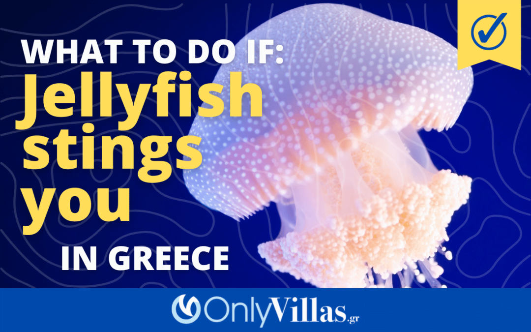 What to Do if You Get Stung by a Jellyfish in Greece: A Step-by-Step Guide