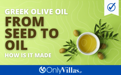 From Seed to Oil: The Journey of Greek Olive Oil